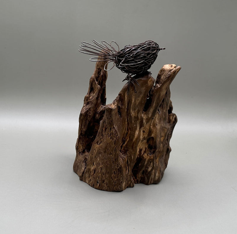 New Zealand Birds That Inspire My Wire Sculptures