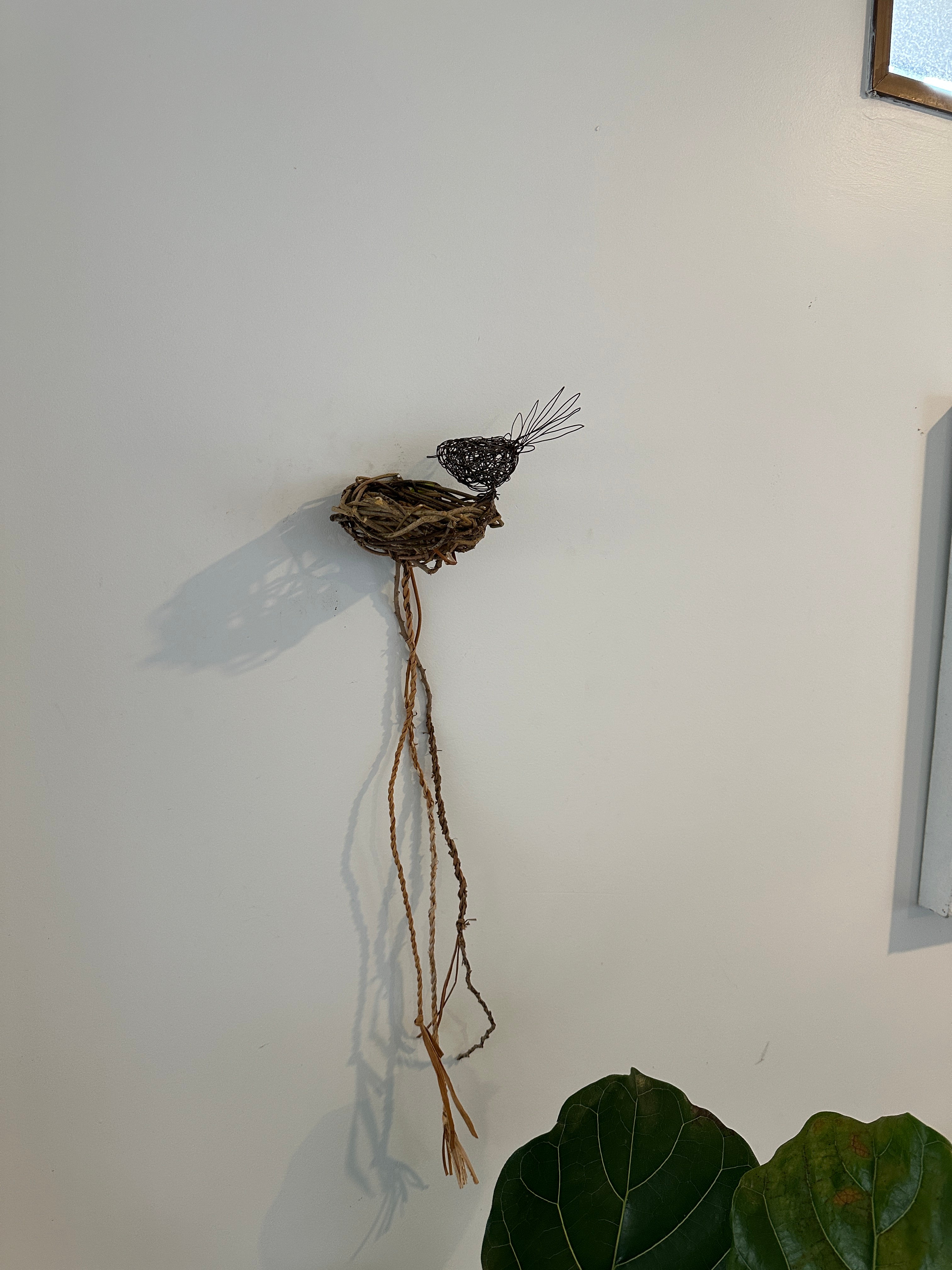 Fantail on vine nest