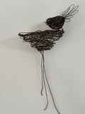 Fantail and nest - rustic