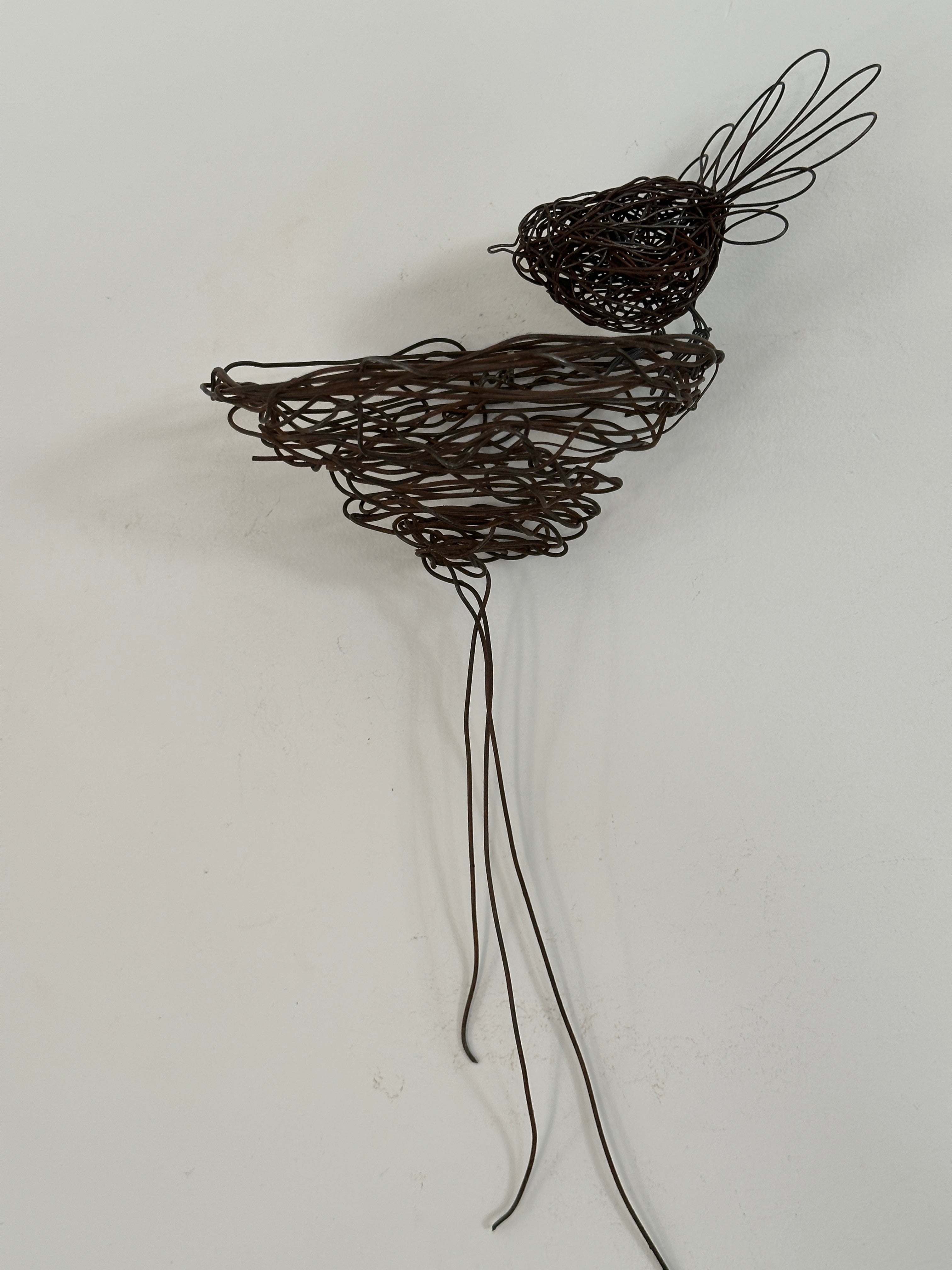 Fantail and nest - rustic