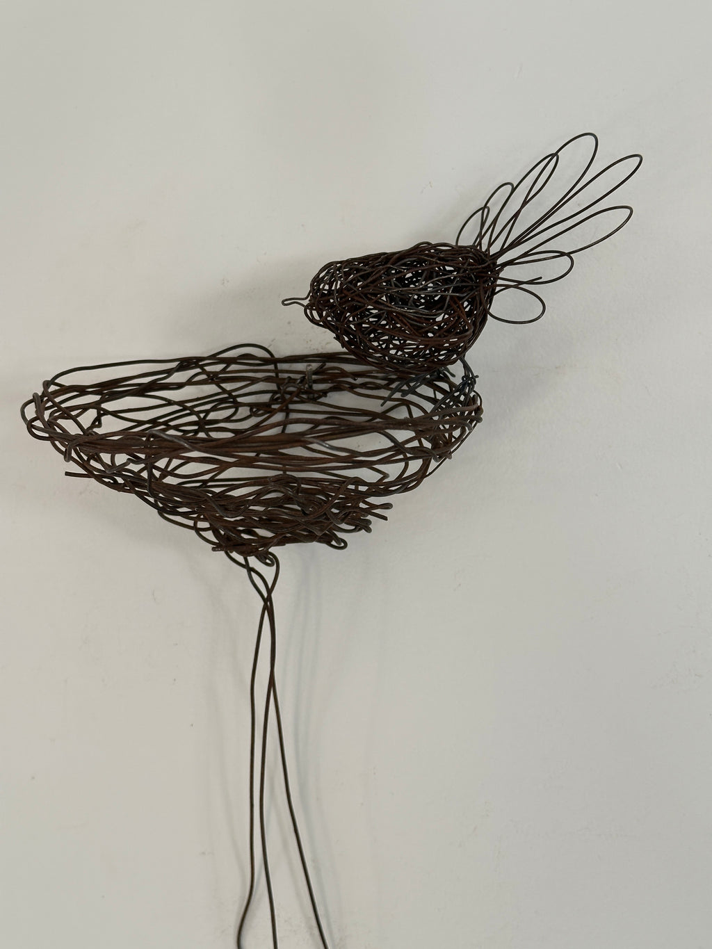 Fantail and nest - rustic