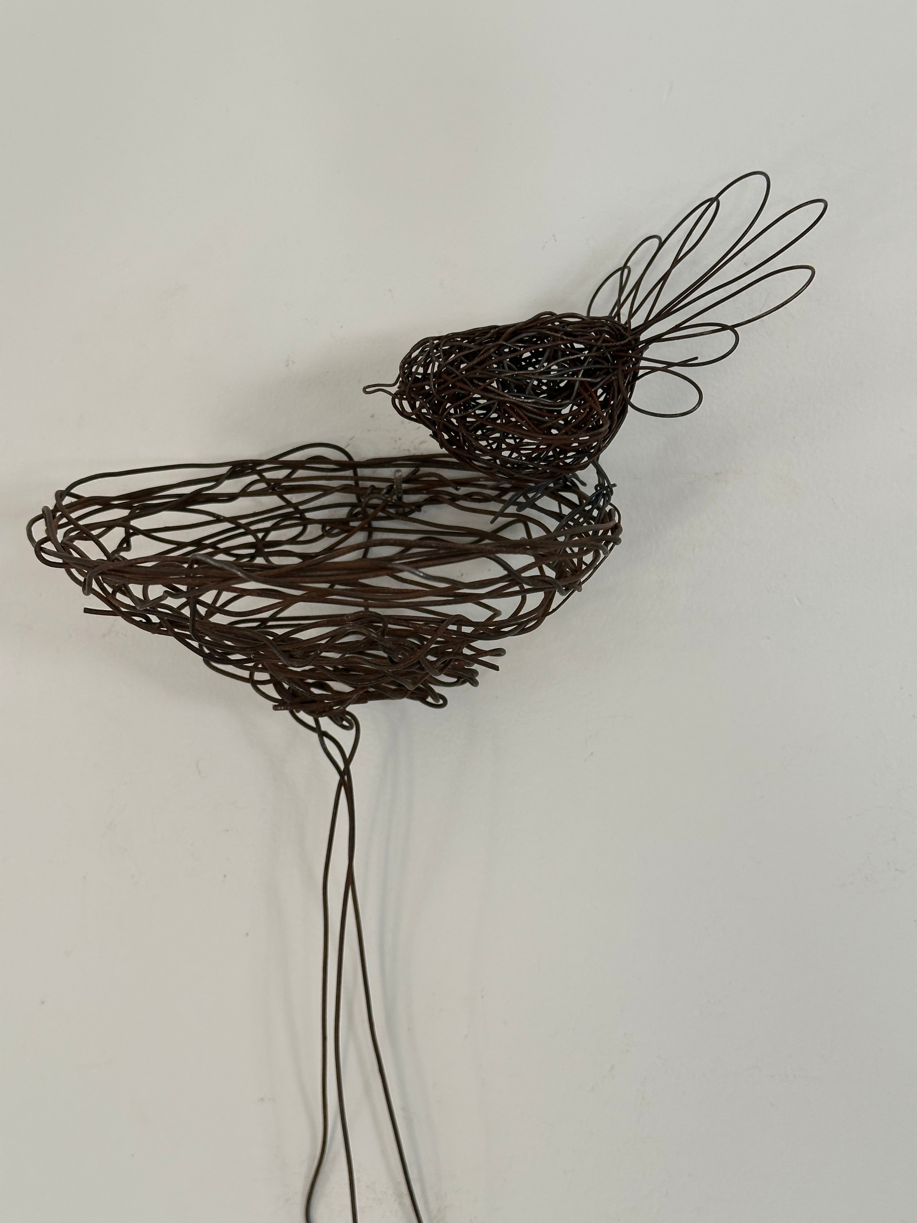 Fantail and nest - rustic