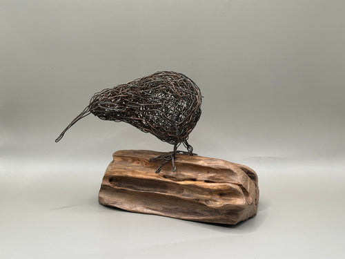 Wire art kiwi with long beak detail, front-angled view