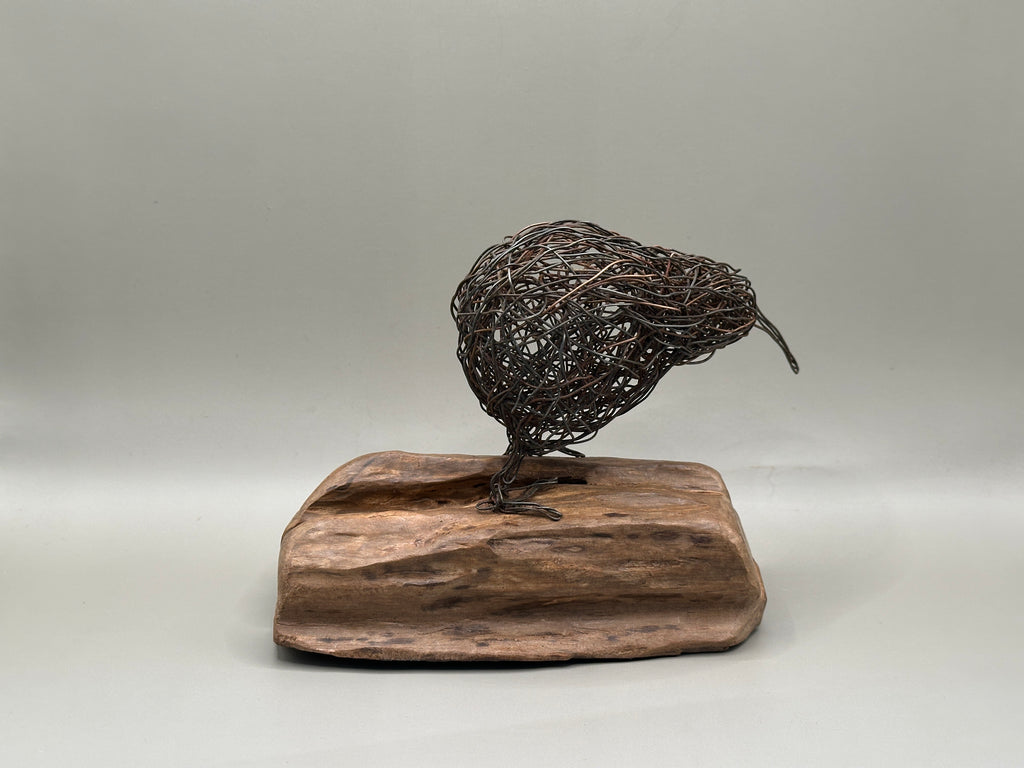 Iconic Kiwi