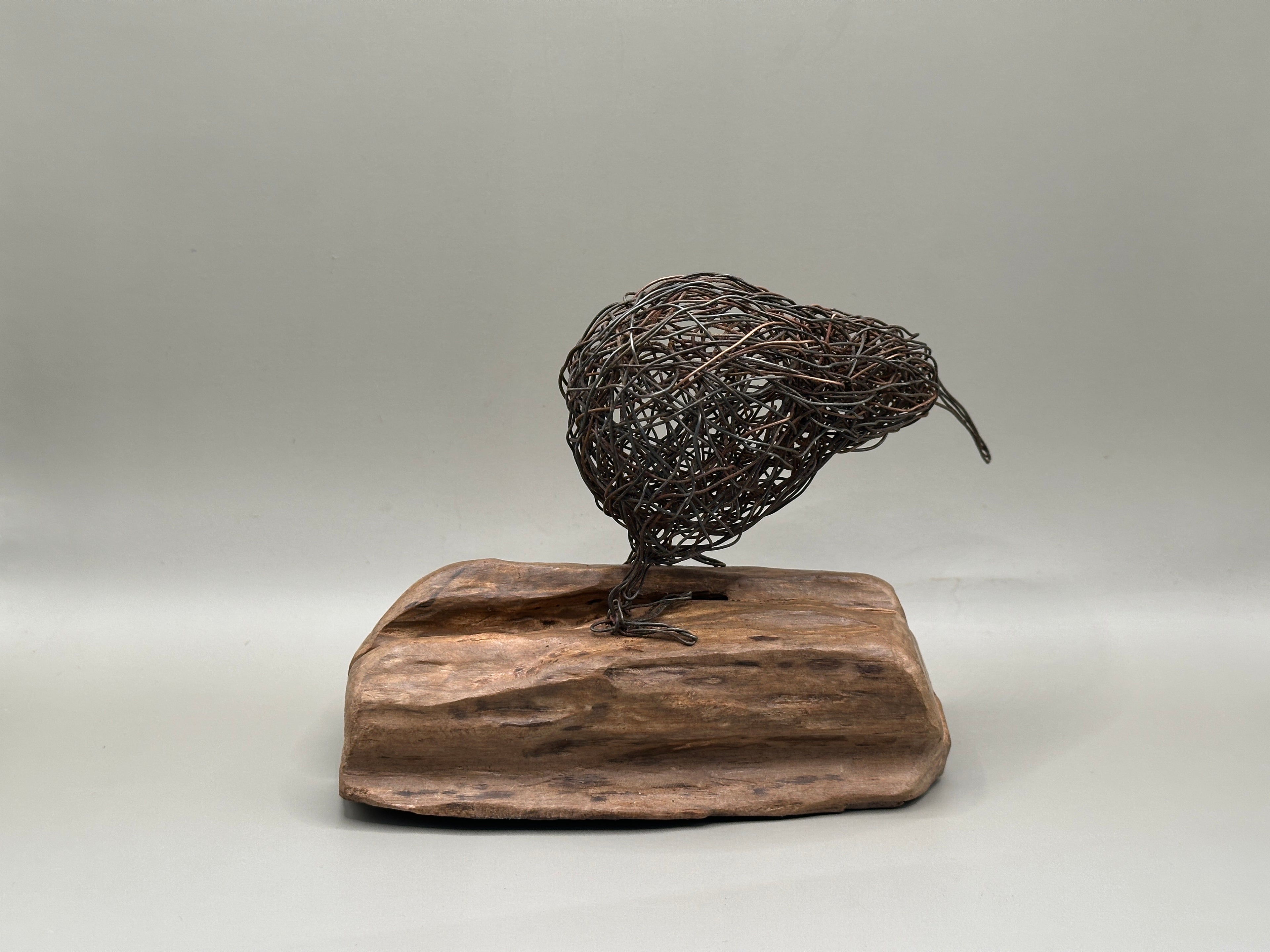 Iconic Kiwi