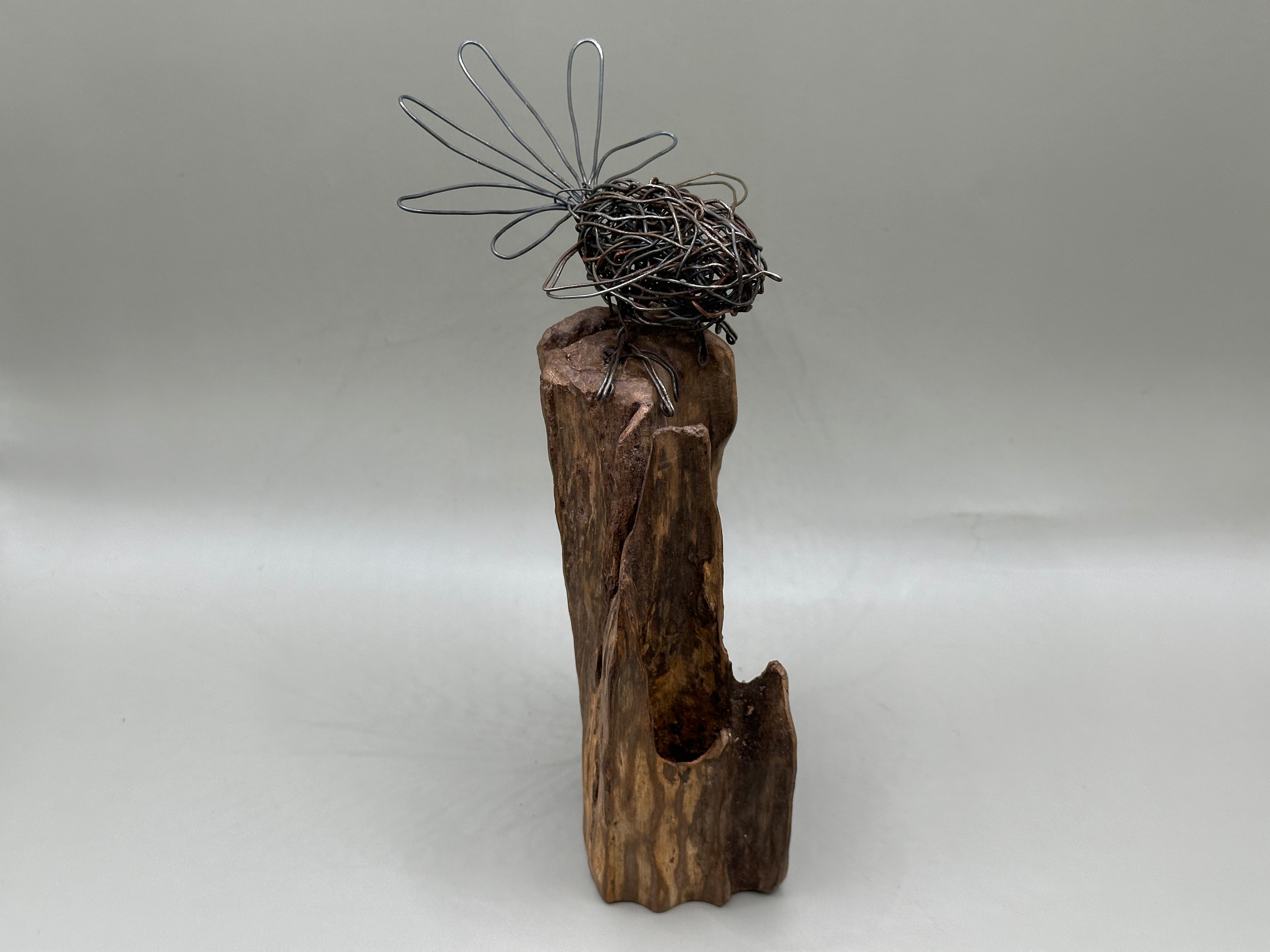 Fantail on trunk