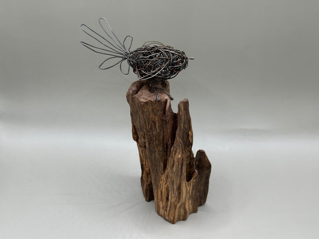 Fantail on trunk