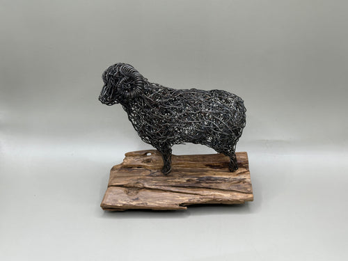 Handmade wire sculpture of a New Zealand merino ram, full body side view