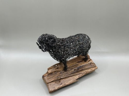 Wire art merino ram with detailed horns, front-facing view