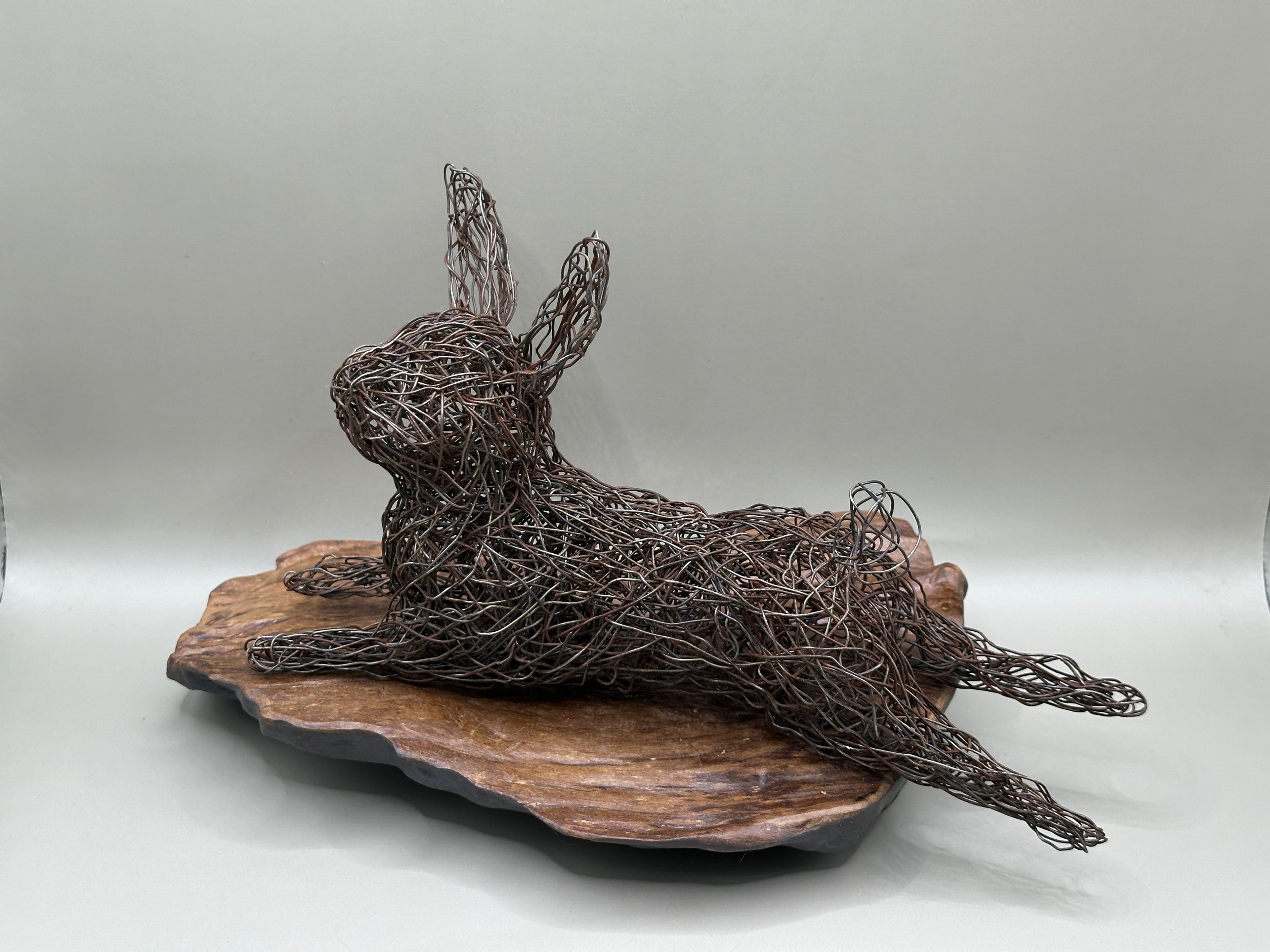 Lazy rabbit