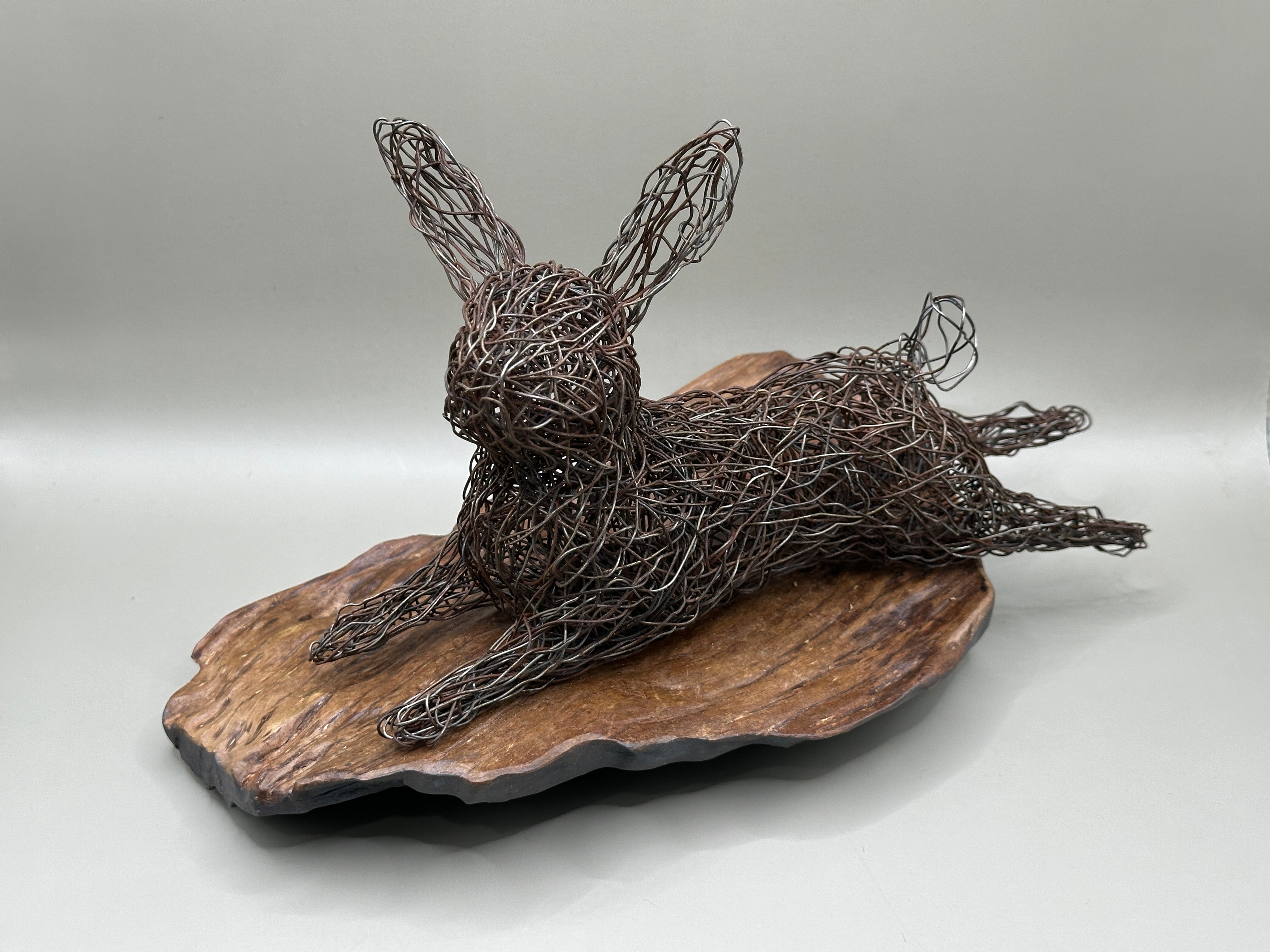 Lazy rabbit