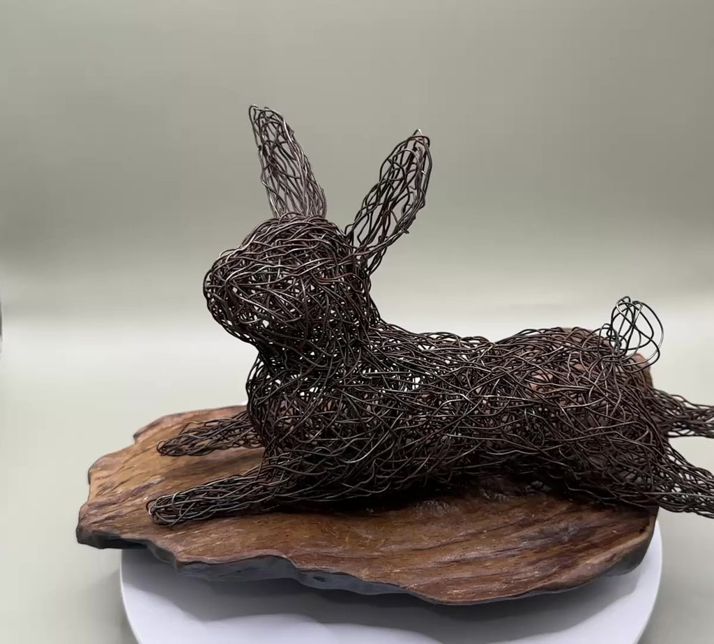 Lazy rabbit