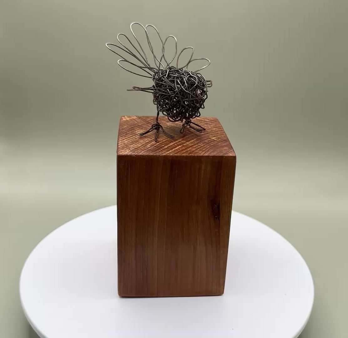 Fantail (piwakawaka) on reclaimed kauri