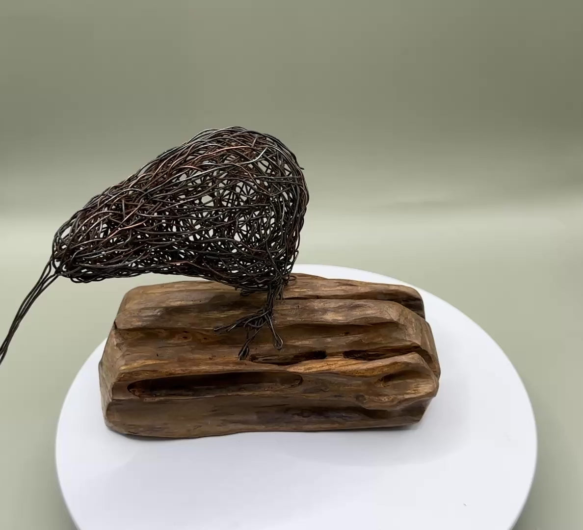 Iconic Kiwi
